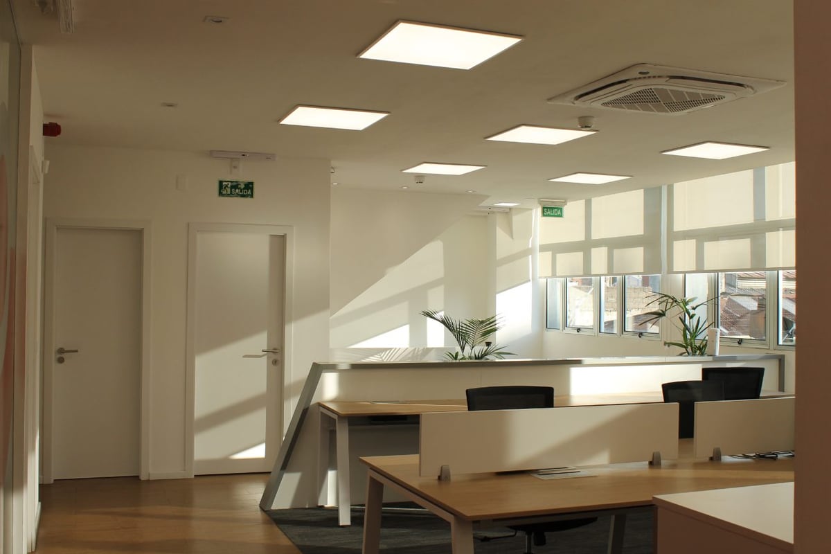 YAGUARON REPUESTOS — Logística · Oficinas + Depósito en Montevideo, Uruguay — imagen 8